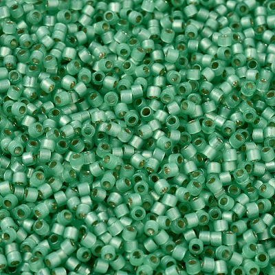 MIYUKI Delica Beads SEED-J020-DB2188-1