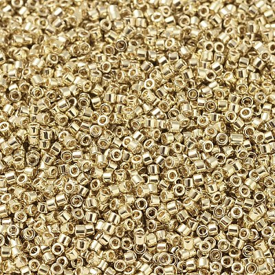MIYUKI Delica Beads X-SEED-J020-DB0034-1