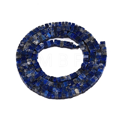 Natural Lapis Lazuli Beads Strands G-N342-70-1