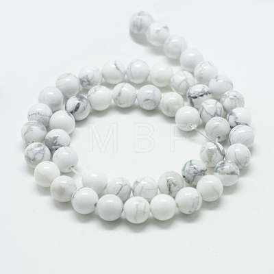 Natural Howlite Beads Strands G-T049-6mm-21-1