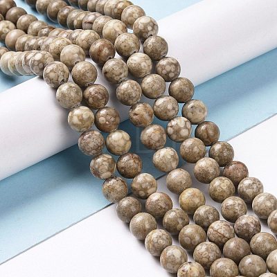 Natural Maifanite/Maifan Stone Beads Strands G-I187-8mm-01-1