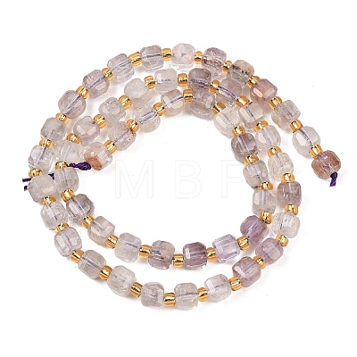 Natural Purple Phantom Quartz/Purple Lodolite Quartz Beads Strands G-Z147-A04-01-1