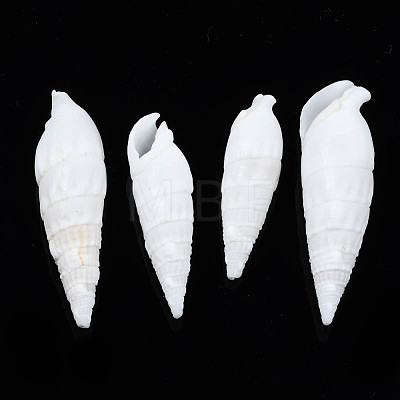 Natural Trochid Shell/Trochus Shell Beads SSHEL-N034-116-1