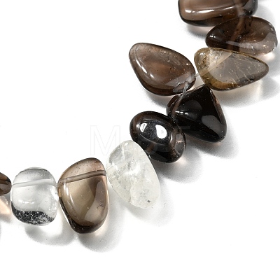 Natural Smoky Quartz Beads Strands G-I292-01-1