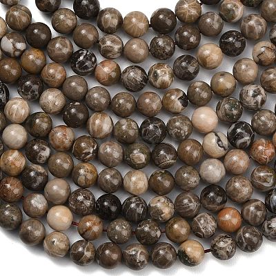 Natural Fossil Coral Beads Strands G-C288-A01-10mm-1