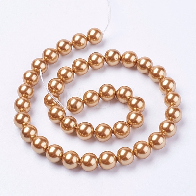 Shell Pearl Beads Strands BSHE-L035-10mm-I02-1