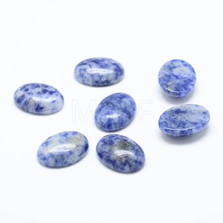 Natural Blue Spot Jasper Cabochons G-T020-18x25mm-09-1