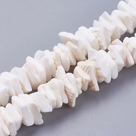 Natural Sea Shell Beads Strands BSHE-K012-08E-1
