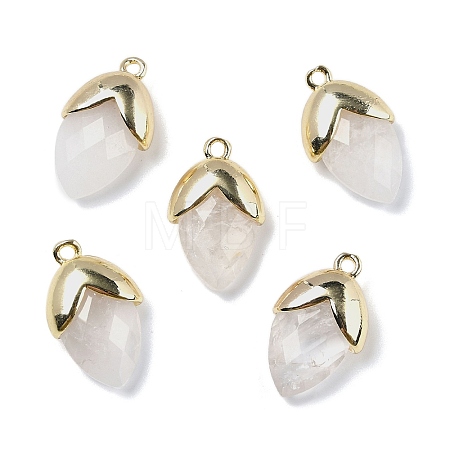 Natural Quartz Crystal Pendants G-U019-03A-01-1