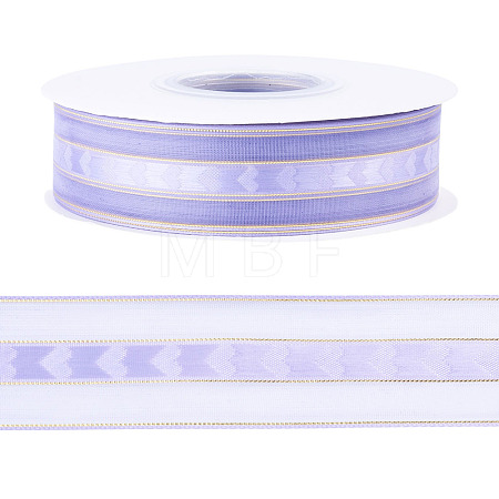 Polyester Lace Ribbon OCOR-TADJ0001-07H-1