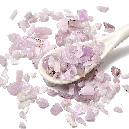 Natural Kunzite Beads G-Z099-A01-1