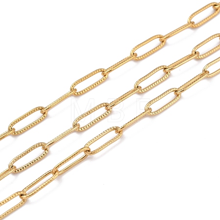 3.28 Feet 304 Stainless Steel Paperclip Chains X-CHS-D033-06G-01-1