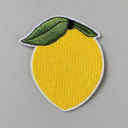 Polyester Clothing Patches DIY-WH0750-303-1