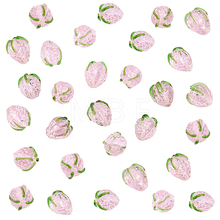30Pcs Handmade Lampwork Beads LAMP-PH0002-21-1