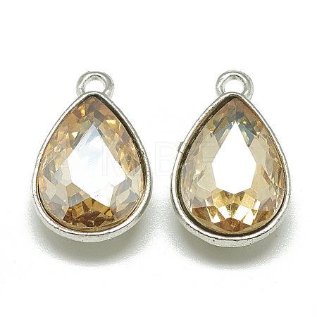 Alloy Glass Charms PALLOY-T028-7x10mm-06-1