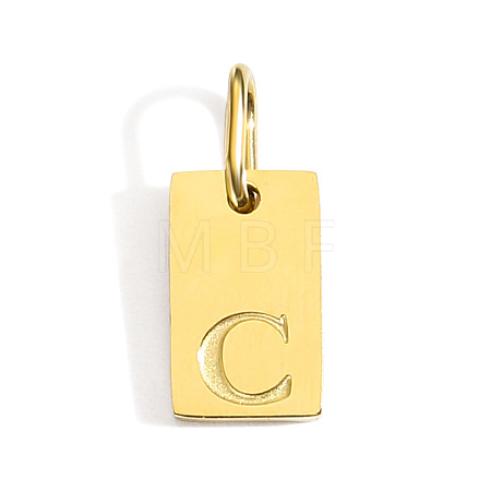 304 Stainless Steel Pendants STAS-Z143-01G-S-1