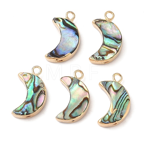 Natural Paua Shell Pendants SHEL-P017-24G-1