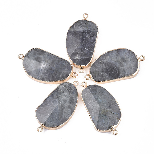 Electroplate Natural Labradorite Links Connectors G-S344-70C-01-1