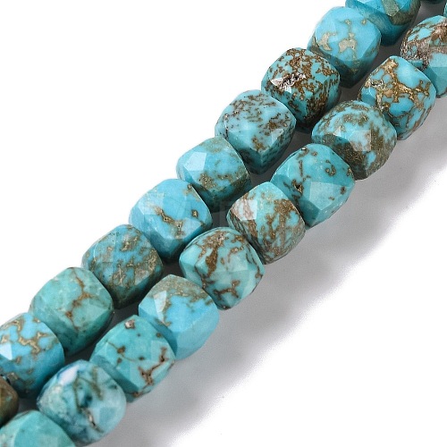 Natural Howlite Beads Strands G-G001-B02-02-1