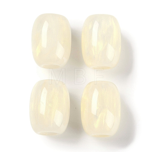 Resin European Beads RESI-F055-11G-1