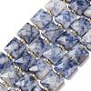Natural Blue Spot Jasper Beads Strands G-F839-A15-01-2