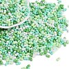 Glass Seed Beads SEED-K010-03H-1