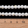 Natural Freshwater Shell Beads Strands SH-CBA2978-07D-04-4