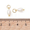 Natural Cultured Freshwater Pearl Pendants PALLOY-JF05443-03-2