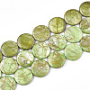 Freshwater Shell Beads Strands SHEL-S274-62D-2