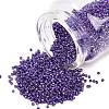 MIYUKI Delica Beads X-SEED-J020-DB2510-1
