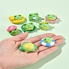 1Set Resin Frog Display Decoration AJEW-FS0001-24-9