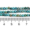 Natural HuBei Turquoise Beads Strands G-M411-A02-01-3