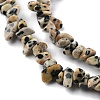 Natural Dalmatian Jasper Beads Strands X-G-G0003-B29-4