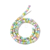 Natural Trochid Shell/Trochus Shell Beads Strands BSHE-H018-04-2