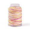 35M Segment Dyed Macrame Cotton Cord OCOR-T017-06C-1