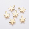 304 Stainless Steel Charms LS-X-STAS-L234-069G-1