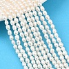 Natural Cultured Freshwater Pearl Beads Strands PEAR-F020-15-1