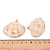 Natural Sea Shell Pendants SSHEL-N038-16-3