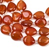 Natural Carnelian Beads Strands G-K393-E02-10x12-4