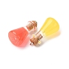 Transparent Resin Pendants RESI-K048-04-2