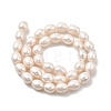 Natural Cultured Freshwater Pearl Beads Strands PEAR-I007-01E-04A-3