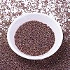 MIYUKI Delica Beads X-SEED-J020-DB1013-2