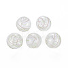 Transparent Handmade Blown Glass Globe Beads GLAA-T012-34B-1