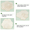 Wooden Blank Plates Set DIY-WH0016-66-6