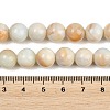 Handmade Lampwork Beads Strand LAMP-B056-10mm-01-5