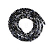 Natural Sapphire Beads Strands X-G-P553-G07-01-3