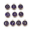 Alloy Enamel Charms ENAM-T010-07I-1