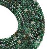 Natural Fuchsite Beads Strands G-L661-B01-4mm-A-5