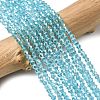 Glass Beads Strands EGLA-S056-2mm-03-3