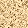 MIYUKI Round Rocailles Beads SEED-G007-RR0493-2